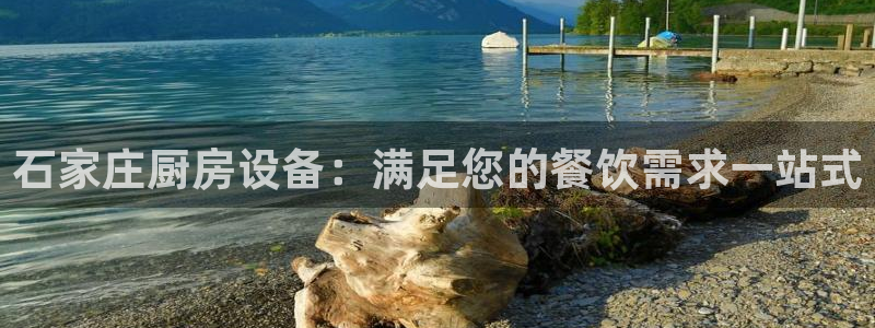尊龙一人生就是搏：石家庄厨房设备：满足您的餐饮需求一站式