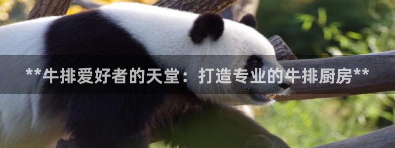 尊龙人生就是博：**牛排爱好者的天堂：打造专业的牛排厨房**