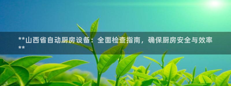 凯时尊龙官网网址：**山西省自动厨房设备：全面检查指南，确保