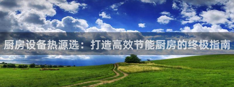 尊龙得过奥斯卡吗：厨房设备热源选：打造高效节能厨房的终极指南