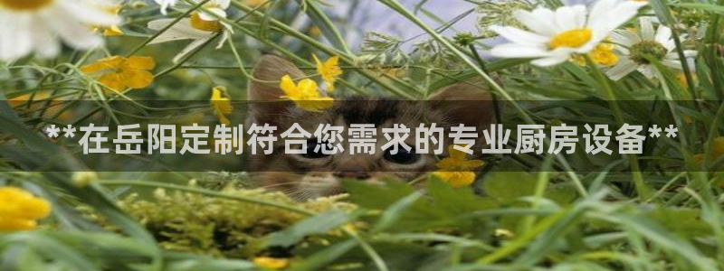 尊龙人生就是博官网登录手机：**在岳阳定制符合您需求的专业厨