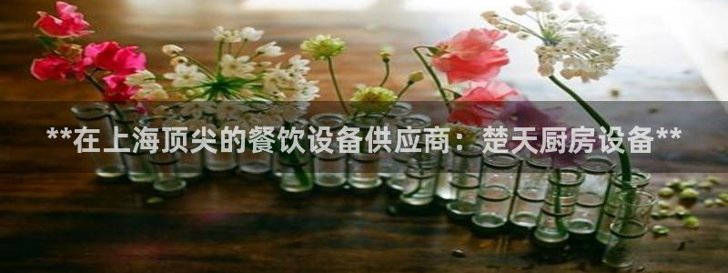 尊龙ag：**在上海顶尖的餐饮设备供应商：楚天厨房设备**
