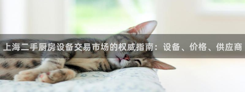 尊龙网站人生就是博：上海二手厨房设备交易市场的权威指南：设备