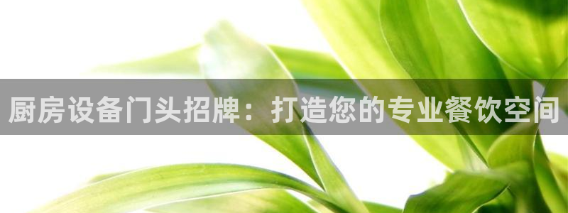 尊龙凯时不给提现怎么办：厨房设备门头招牌：打造您的专业餐饮空