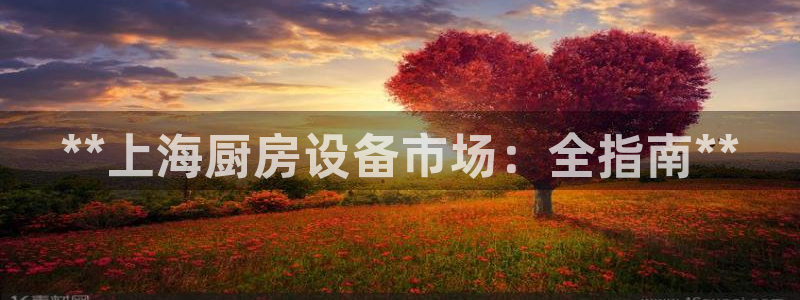 凯时kb88公司简介：**上海厨房设备市场：全指南**
