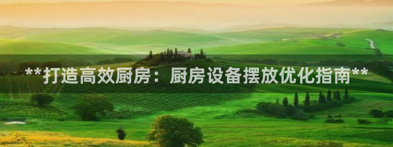 尊龙凯时app产品介绍：**打造高效厨房：厨房设备摆放优化指