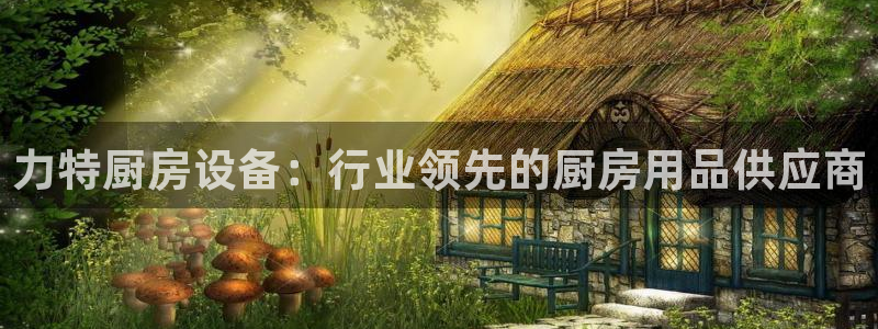 尊龙凯时-人生就是博中国官网最新：力特厨房设备：行业领先的厨