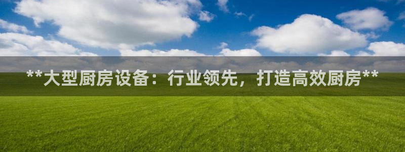 尊龙凯时取款24小时不到账：**大型厨房设备：行业领先，打造