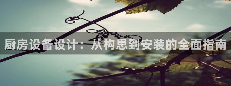 尊龙凯时白家乐：厨房设备设计：从构思到安装的全面指南