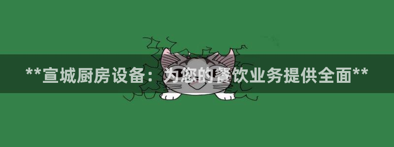尊龙t600：**宣城厨房设备：为您的餐饮业务提供全面**