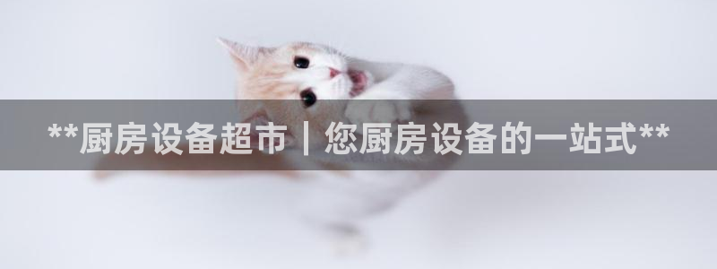 尊龙最近一次露面：**厨房设备超市｜您厨房设备的一站式**