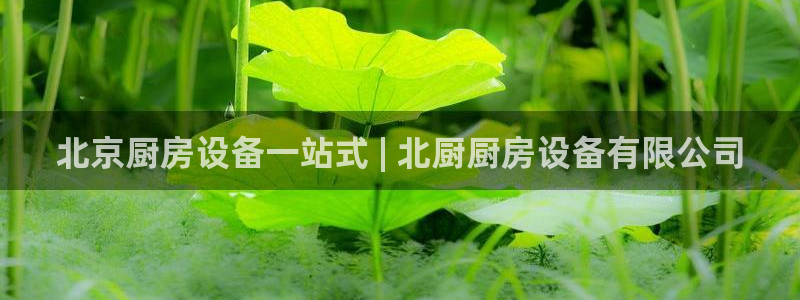 尊龙现金一下指导AG发财网：北京厨房设备一站式 | 北厨厨房