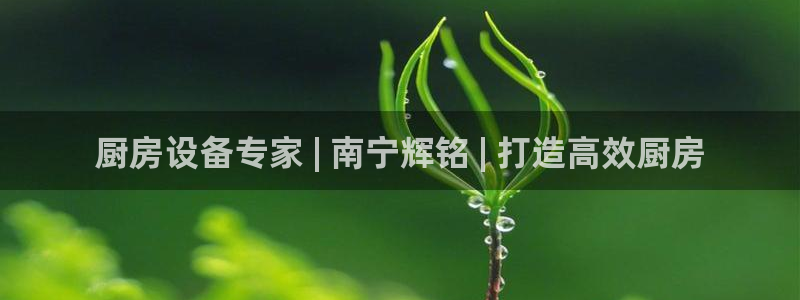 尊龙凯时不给提款：厨房设备专家 | 南宁辉铭 | 打造高效厨