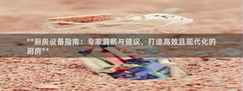 尊龙z6官网ag：**厨房设备指南：专家洞察与建议，打造高效
