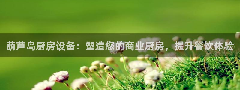 ag尊龙凯时集团：葫芦岛厨房设备：塑造您的商业厨房，提升餐饮
