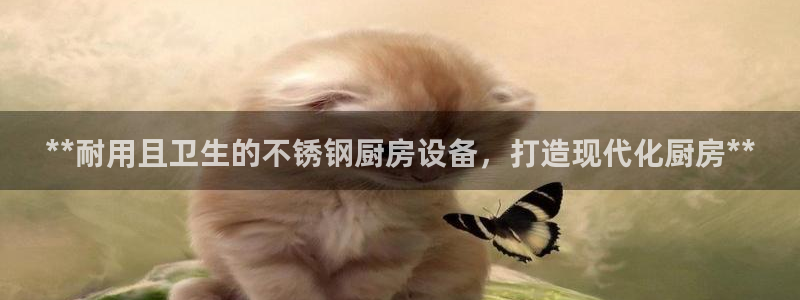 尊龙凯时开发：**耐用且卫生的不锈钢厨房设备，打造现代化厨房