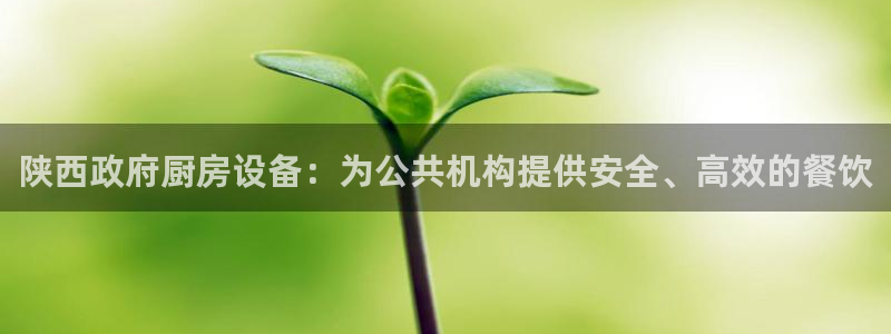 尊龙d88平台登录：陕西政府厨房设备：为公共机构提供安全、高