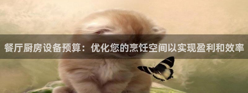 尊龙凯时怎么样没听说过：餐厅厨房设备预算：优化您的烹饪空间以
