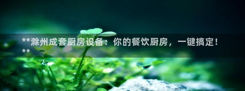 尊龙app官网登录：**滁州成套厨房设备：你的餐饮厨房，一键