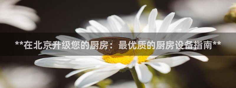 尊龙网页：**在北京升级您的厨房：最优质的厨房设备指南**