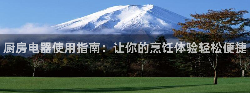 尊龙d88现金关注ag发财网：厨房电器使用指南：让你的烹饪体