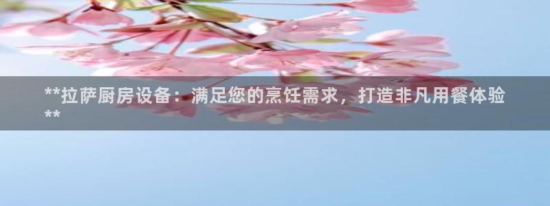 z6com尊龙凯时百家乐：**拉萨厨房设备：满足您的烹饪需求