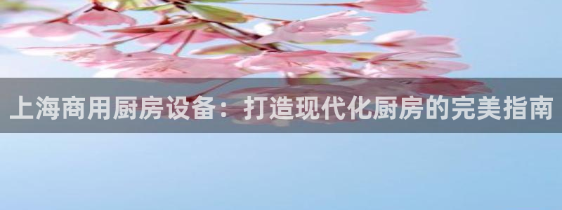 尊龙d88手机app免费下载：上海商用厨房设备：打造现代化厨