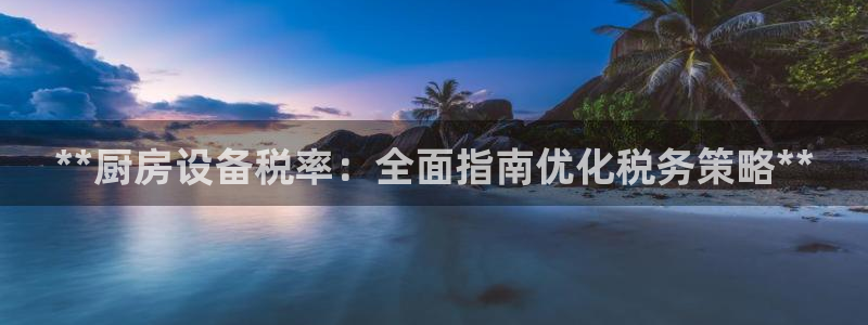尊龙内地：**厨房设备税率：全面指南优化税务策略**