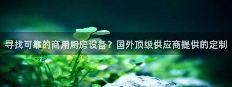 尊龙人生就是博ag：寻找可靠的商用厨房设备？国外顶级供应商提