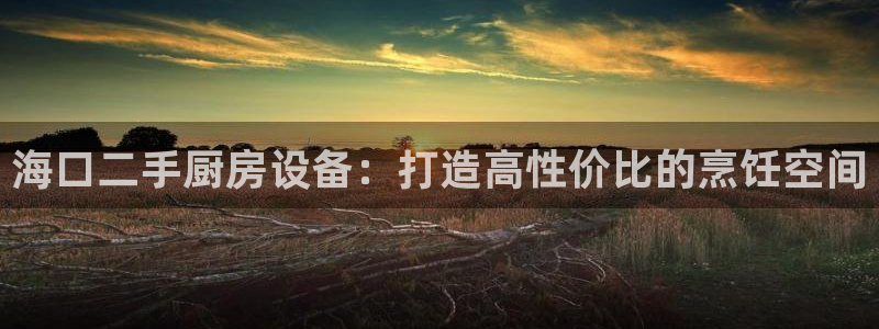 z6尊龙凯时：海口二手厨房设备：打造高性价比的烹饪空间