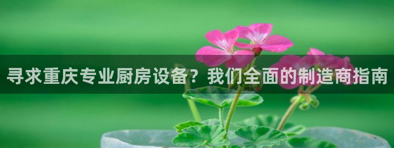 尊龙人生就是博登陆：寻求重庆专业厨房设备？我们全面的制造商指