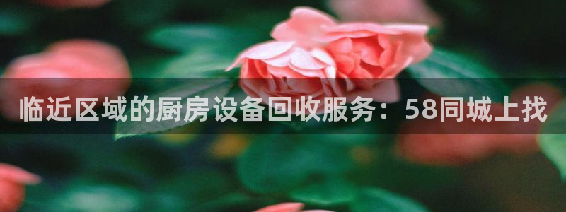 尊龙凯时人生就是搏z6com：临近区域的厨房设备回收服务：5