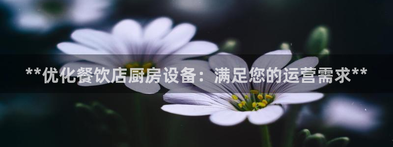 尊龙d88现金可来就送38：**优化餐饮店厨房设备：满足您的