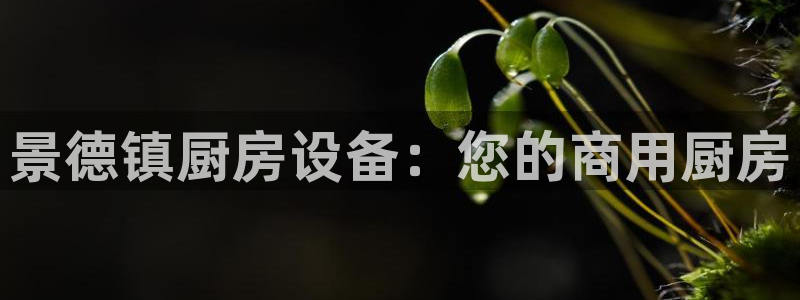 尊龙凯时官网网页版：景德镇厨房设备：您的商用厨房
