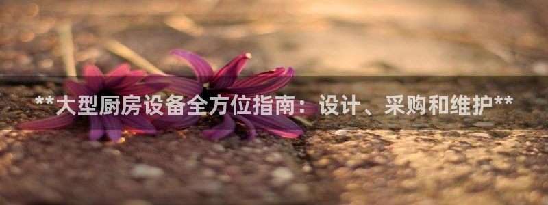 尊龙官网登录·(中国)官方网站-bd SPORTS：**大型