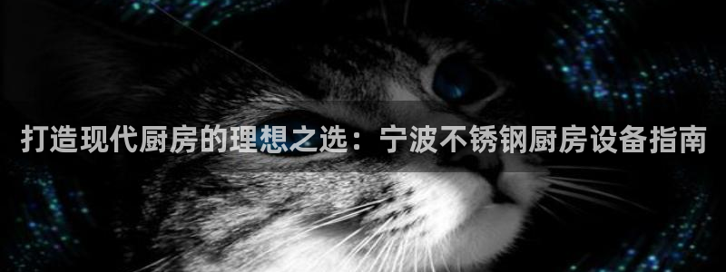 尊龙凯时百家乐手机下载：打造现代厨房的理想之选：宁波不锈钢厨