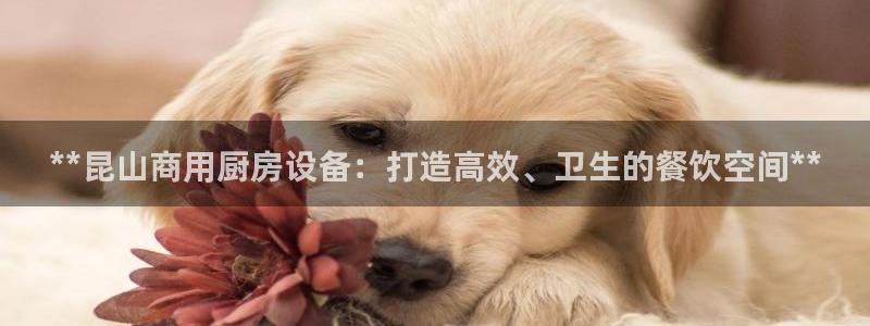 尊龙登录：**昆山商用厨房设备：打造高效、卫生的餐饮空间**