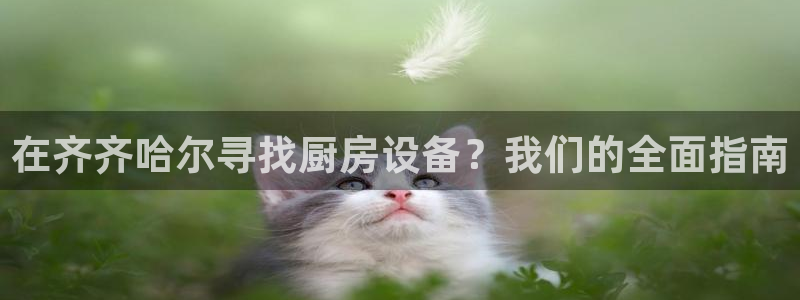 尊龙凯时官方网站下载：在齐齐哈尔寻找厨房设备？我们的全面指南