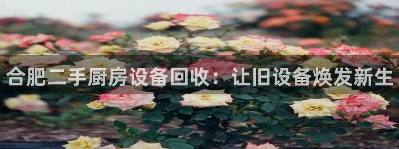 尊龙人生就是博送38：合肥二手厨房设备回收：让旧设备焕发新生