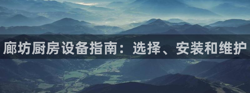尊龙凯时存款多久到账：廊坊厨房设备指南：选择、安装和维护
