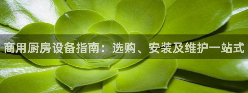 尊龙人生就是博登录网址下载：商用厨房设备指南：选购、安装及维