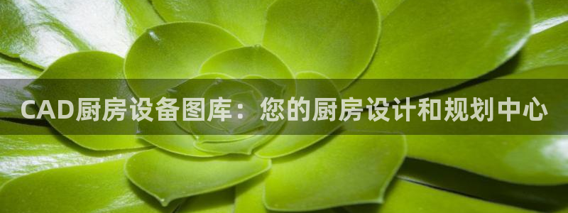 凯时登录平台去AG发财网：CAD厨房设备图库：您的厨房设计和