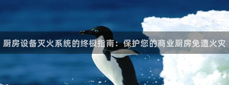 尊龙凯时国际：厨房设备灭火系统的终极指南：保护您的商业厨房免
