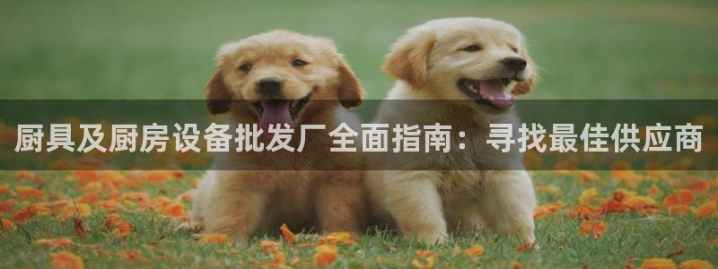 凯时官网的售后服务：厨具及厨房设备批发厂全面指南：寻找最佳供