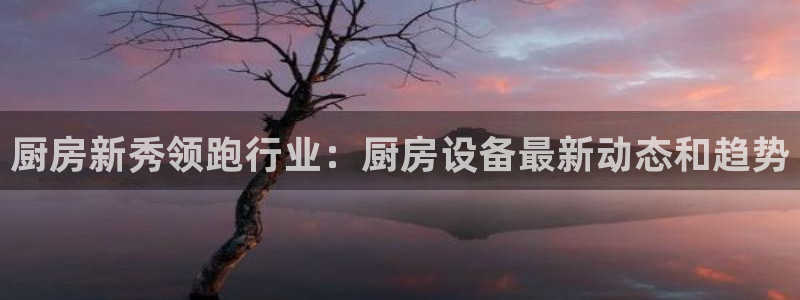 尊龙凯时不给提现怎么办：厨房新秀领跑行业：厨房设备最新动态和