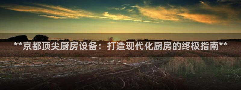 尊龙人生就是博一下首页：**京都顶尖厨房设备：打造现代化厨房