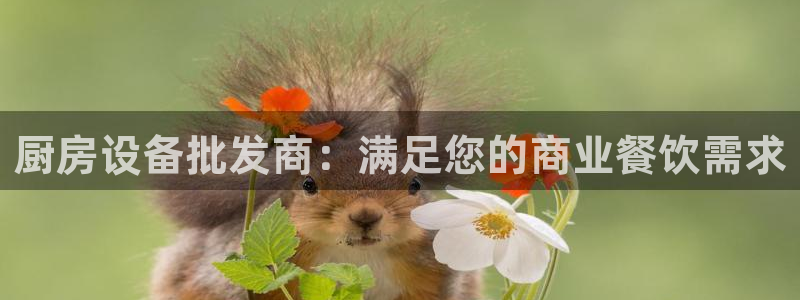 尊龙官网地址：厨房设备批发商：满足您的商业餐饮需求