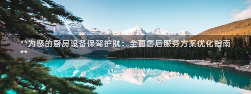 凯时平台官网RA来就送38：**为您的厨房设备保驾护航：全面