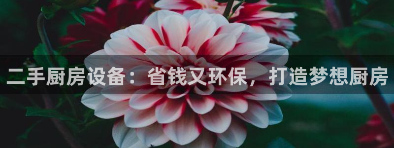 百度一下尊龙：二手厨房设备：省钱又环保，打造梦想厨房