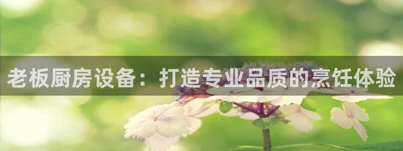 尊龙凯时网站赌愽是真的吗：老板厨房设备：打造专业品质的烹饪体